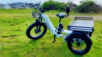 Introducing Our Versatile Electric Tricycle: The Ultimate Commercial and Companion Solution!