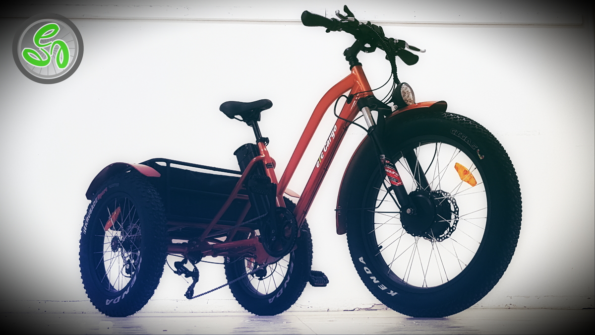 Daymak florence fat tire electric trike shop