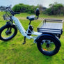 Companion Electric Tricycle - eTrikes Canada