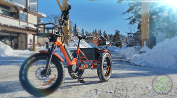 Tips On Preparing Your Electric Tricycle For Winter Riding