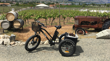 Enjoy a leisurely winery tour on your electric trike