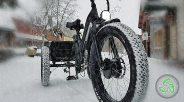 Electric Trike vs Canadian Winter