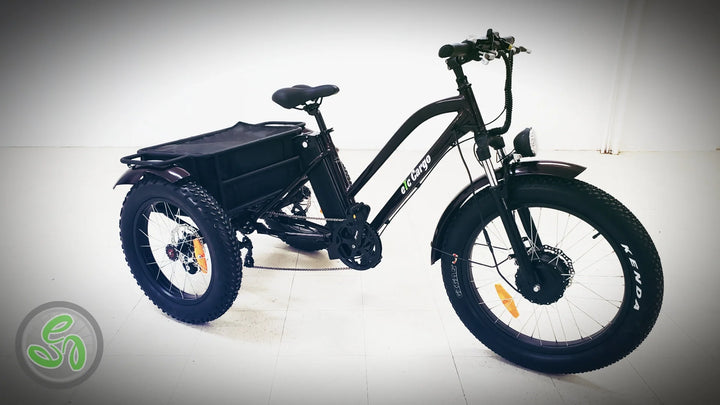 Electric Tricycles Canada Affordable E Trikes for Adults