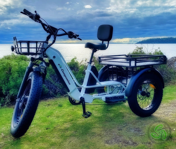 Companion Trike For Sale Tricycle e bike eTrikes Canada