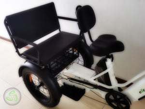 Companion Electric Tricycle - eTrikes Canada