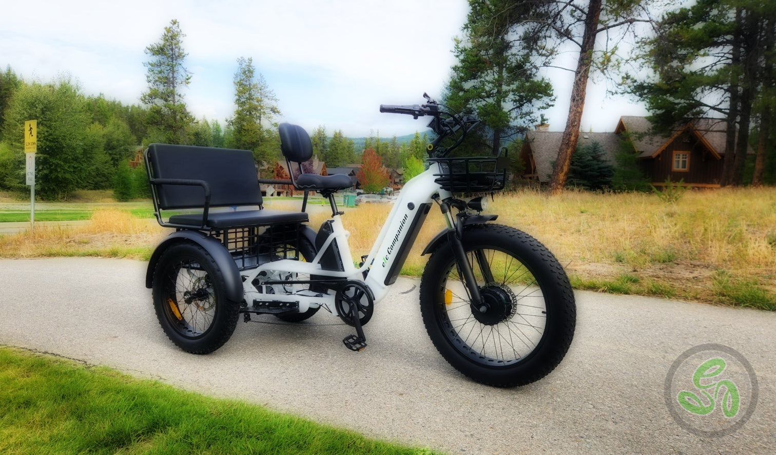 Electric Tricycles Canada Affordable E Trikes for Adults eTrikes Canada