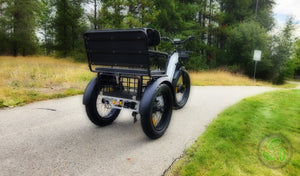 Companion Electric Tricycle - eTrikes Canada